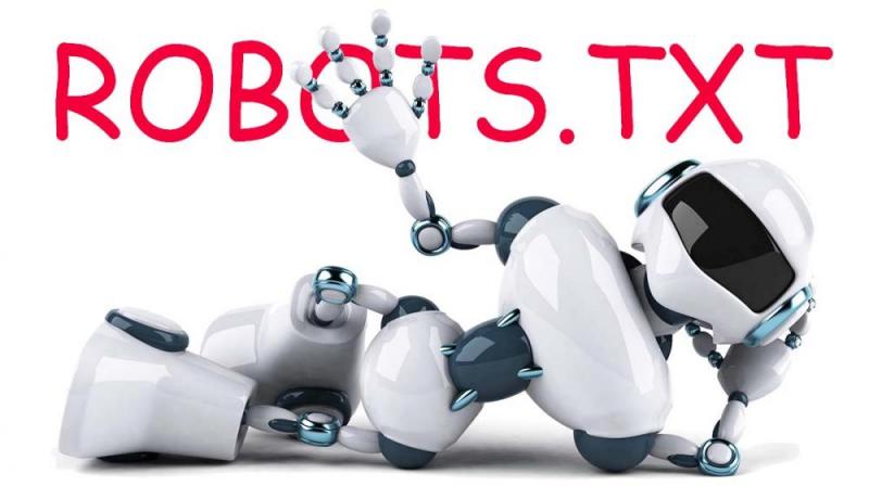 Что такое robots.txt и зачем он нужен в Чите